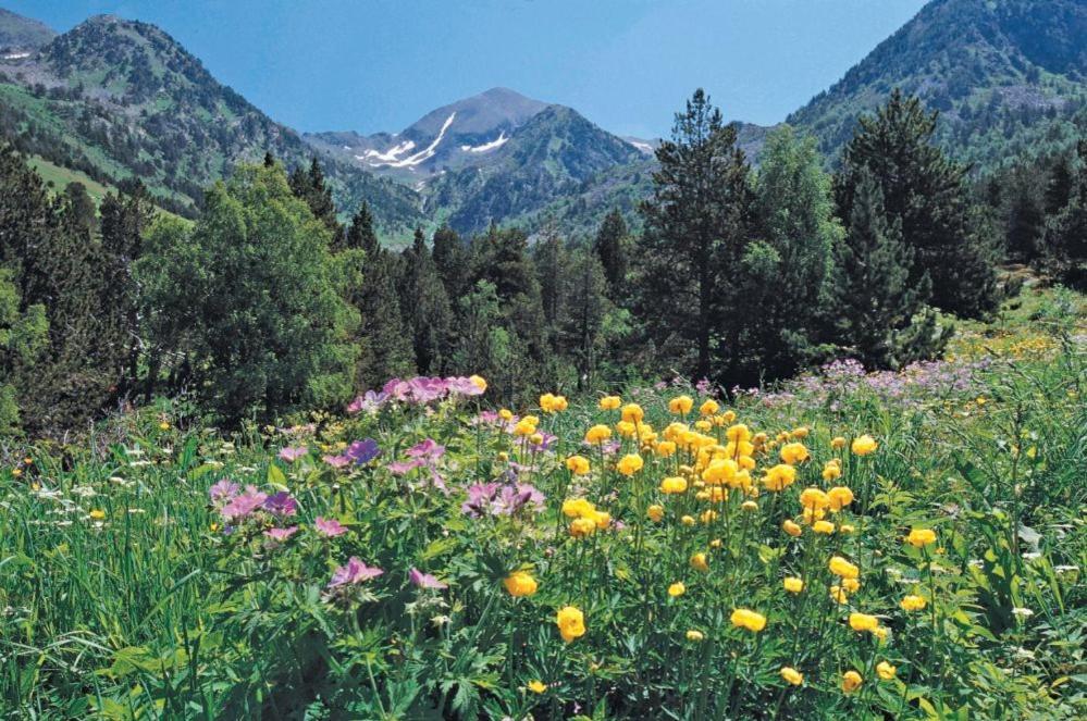 Hotel Xalet Verdu Arinsal Exteriör bild